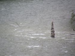 2008-04-23_Helmut-Steinbacher_Steinmanderl 20.JPG